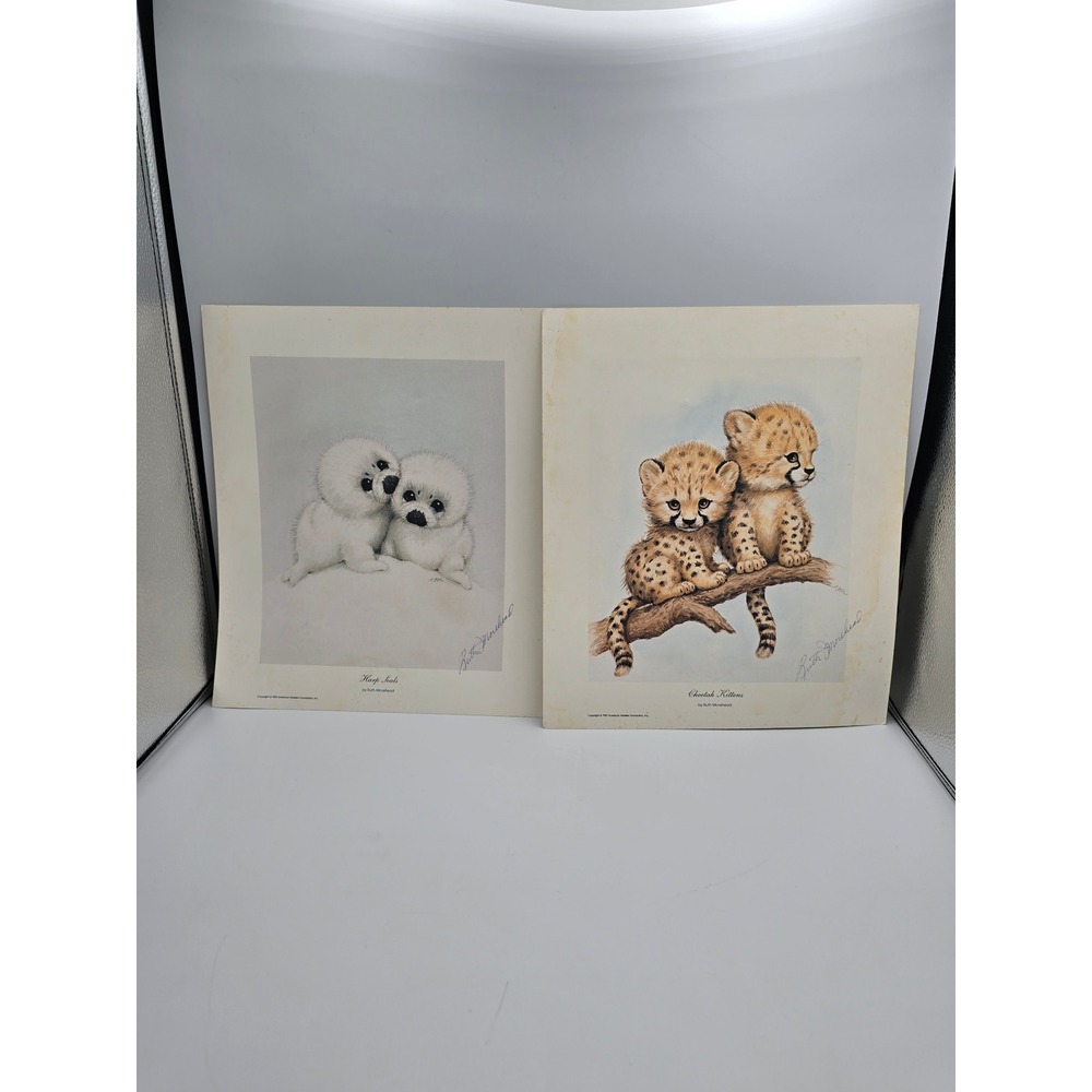 Ruth Morehead Animal Art Prints 1987 Harp Seals Cheetah Kittens Good Vintage 2pc